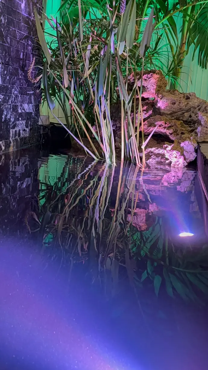 Estanque hecho por IA