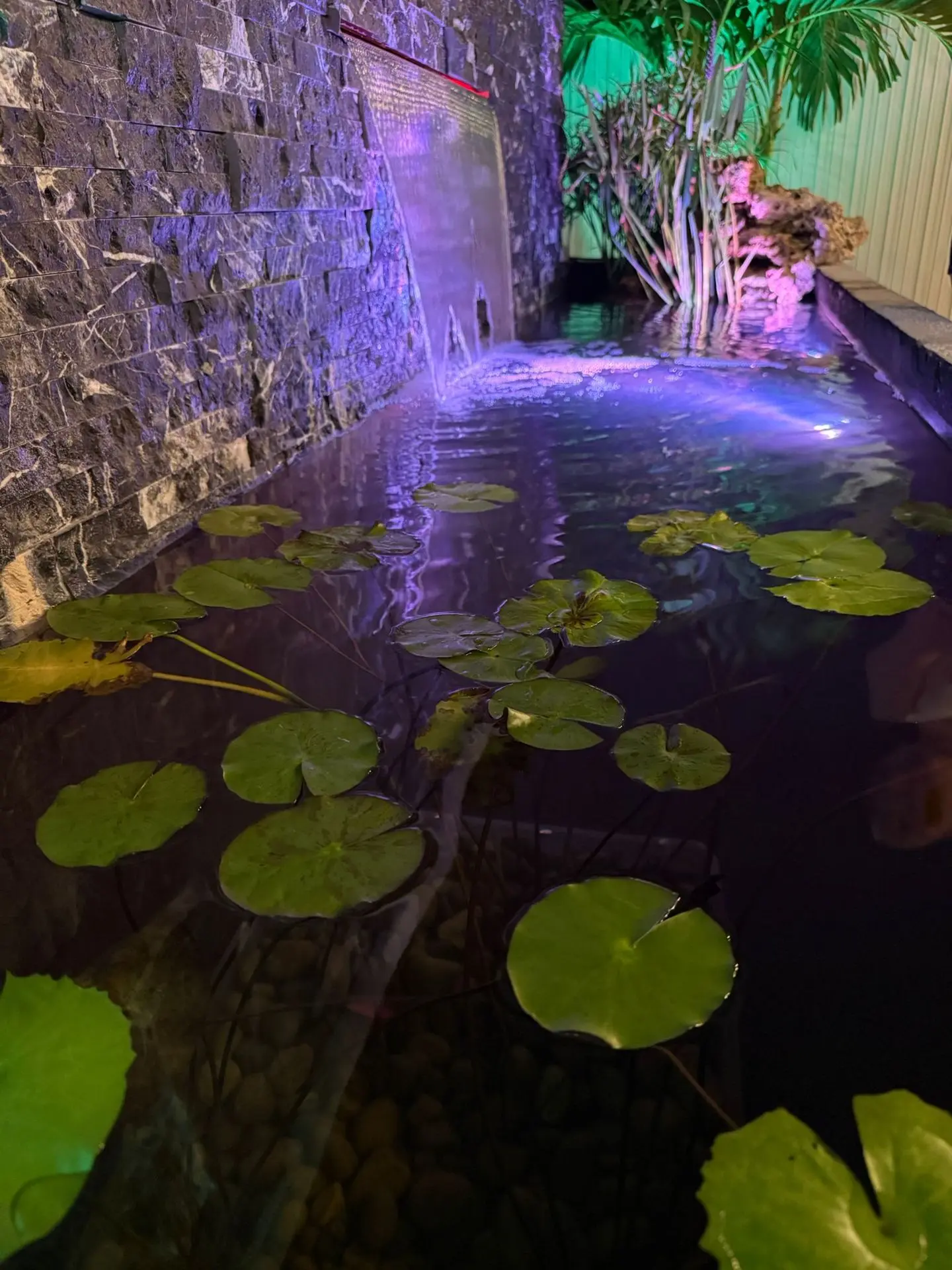 Proyectos de Aqua Sanlogo