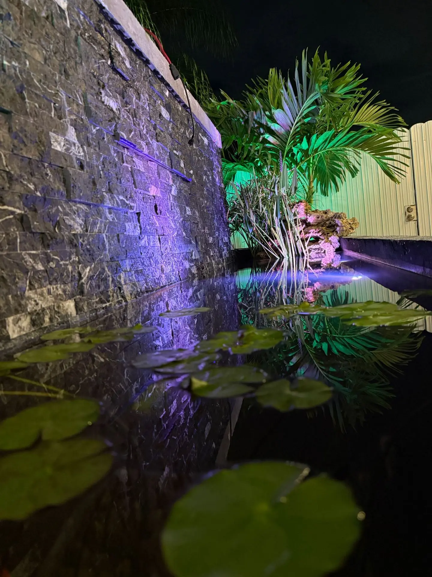 Etapas de construccion 