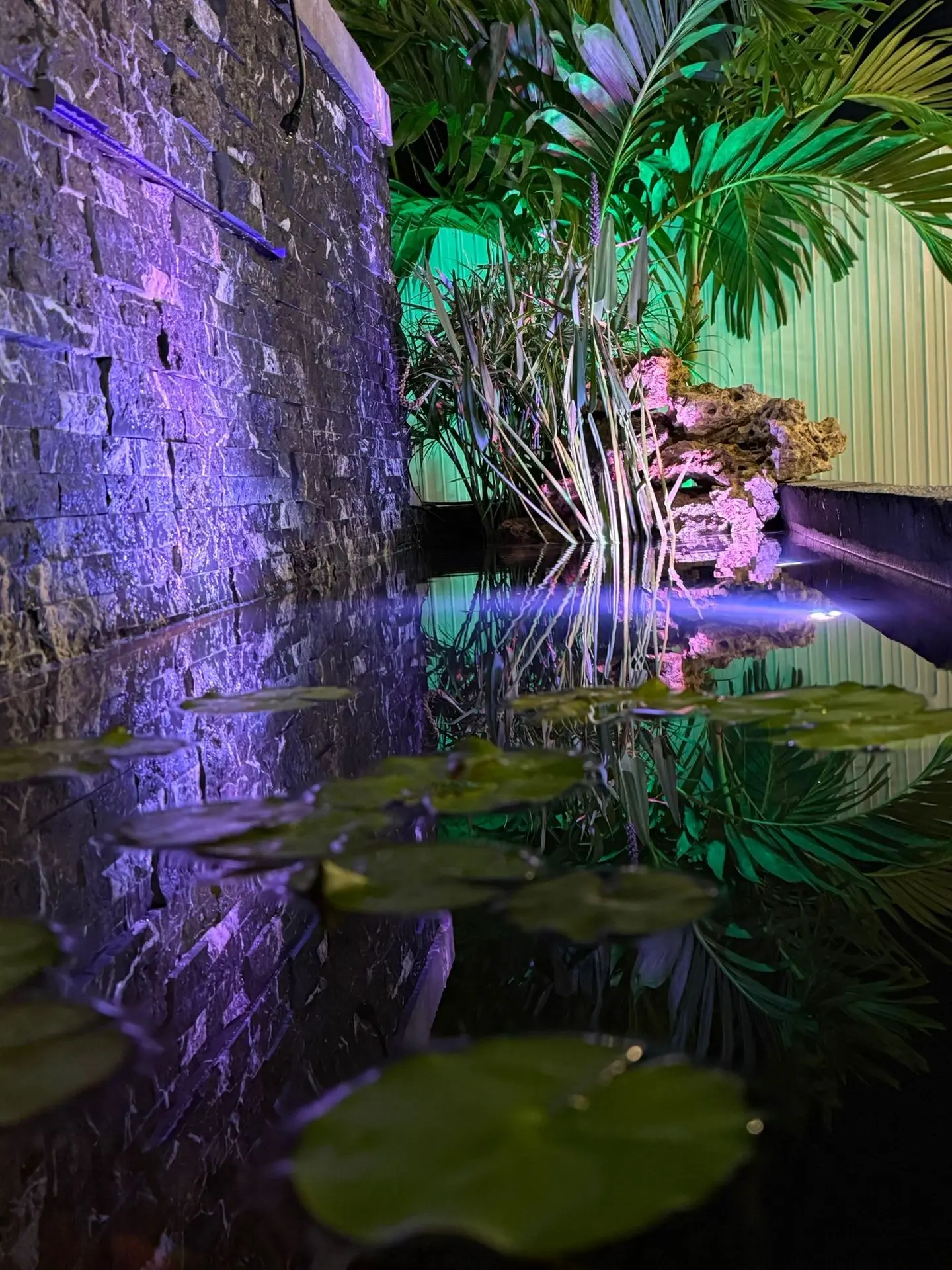 Mantenimiento de acuario