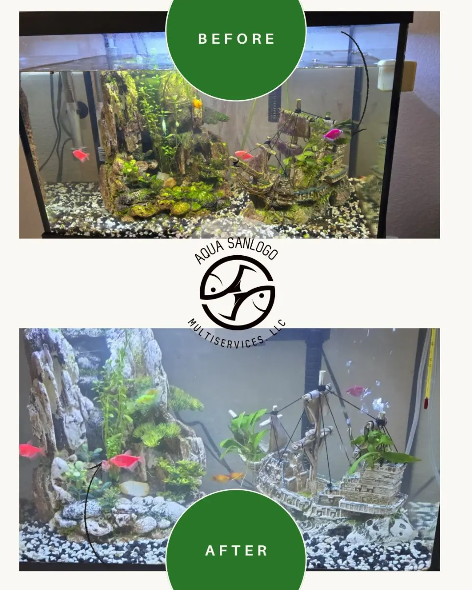 Residential aquarium with tropical fish and filtration system