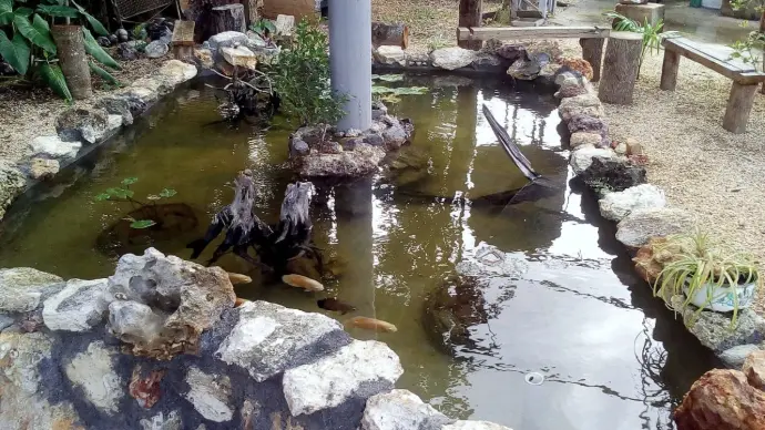 Estanque hecho por IA