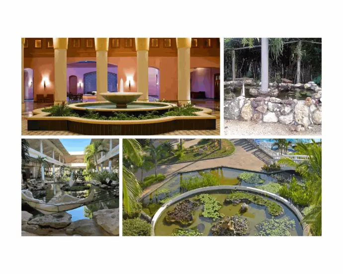 Proyectos de Aqua Sanlogo